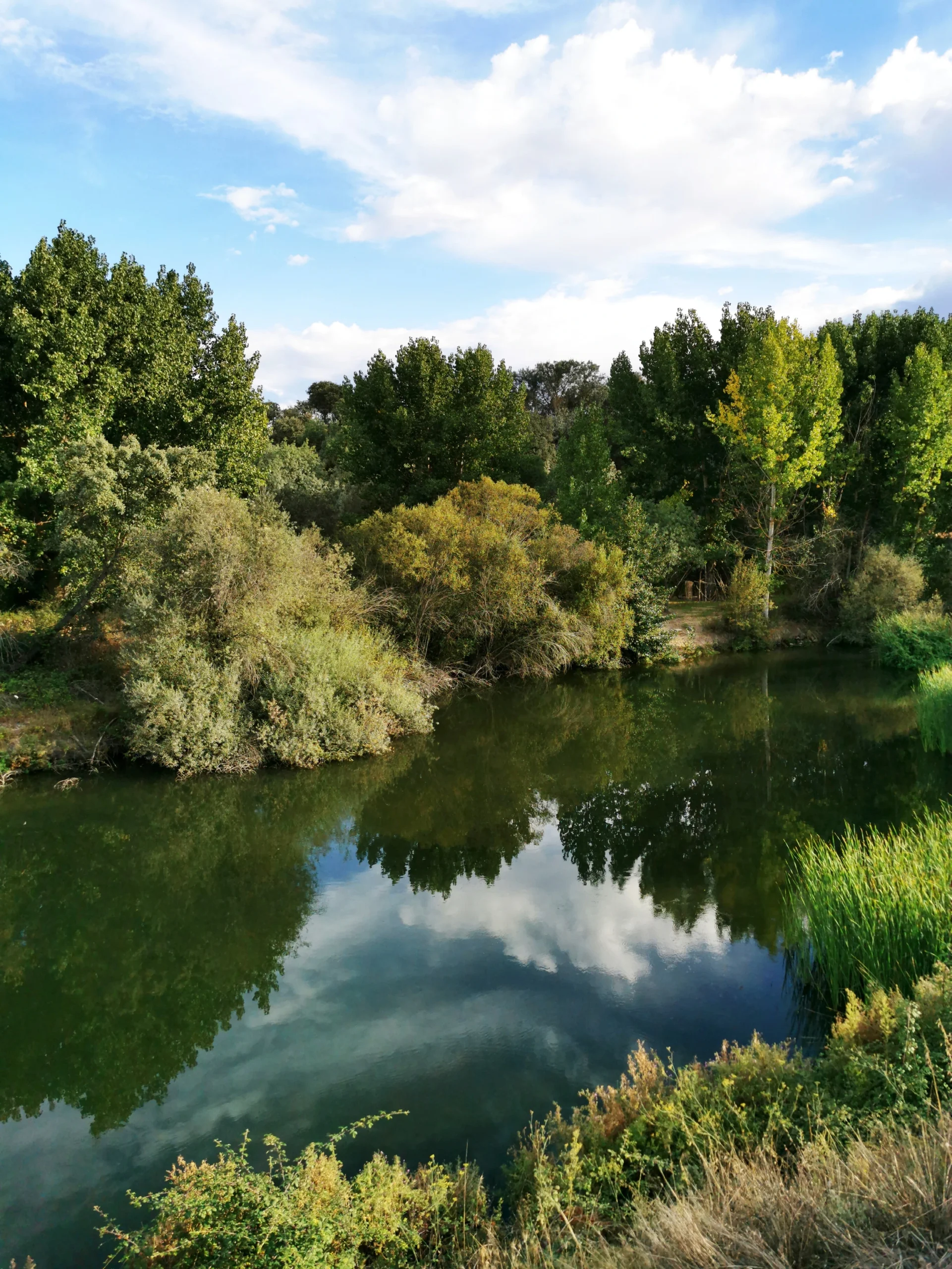 Villas de Duero 1 - Naturaleza